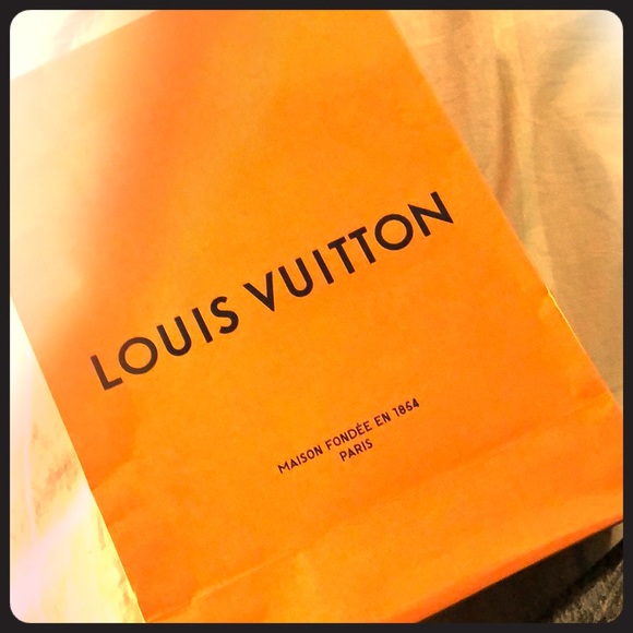 Louis Vuitton bag - Picture 1 of 2